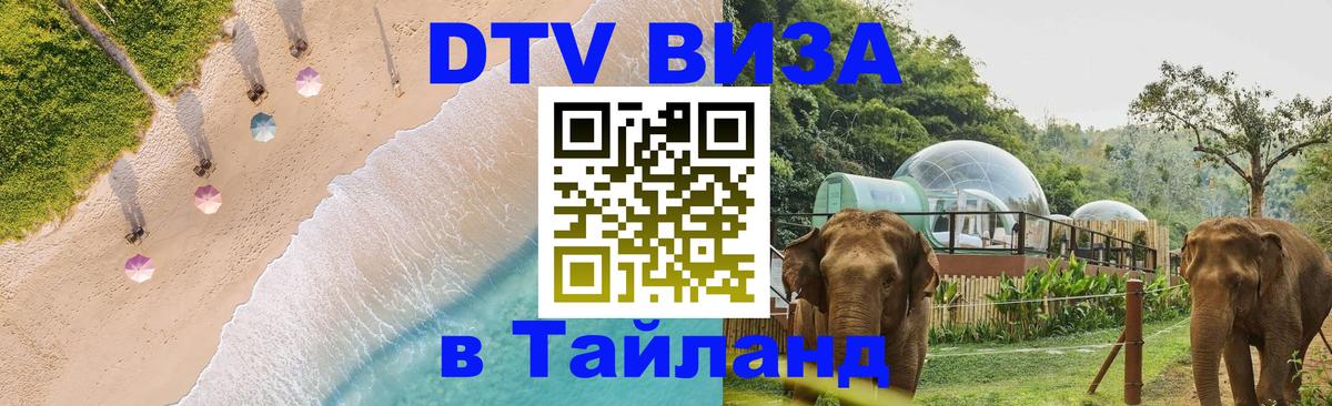 Сколько стоит DTV виза — актуальные цены, оформление даже без документов - Набережные Челны  03.10.2025 